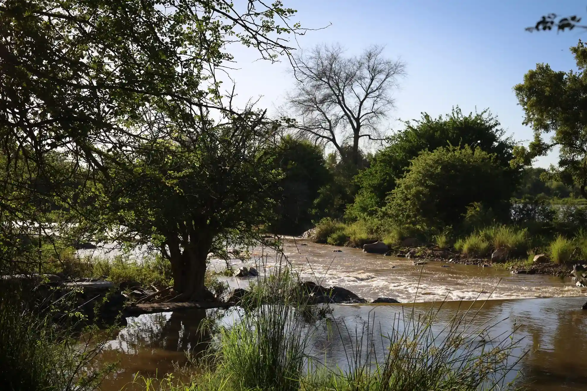 Lodge exclusivo en el delta del Okavango.
